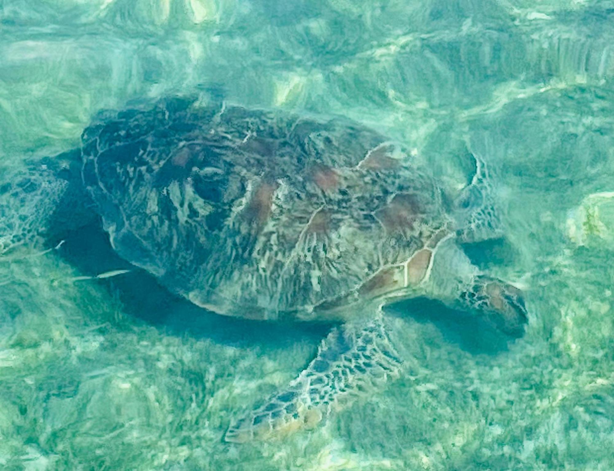 Follow Your Dreams * Gili Air